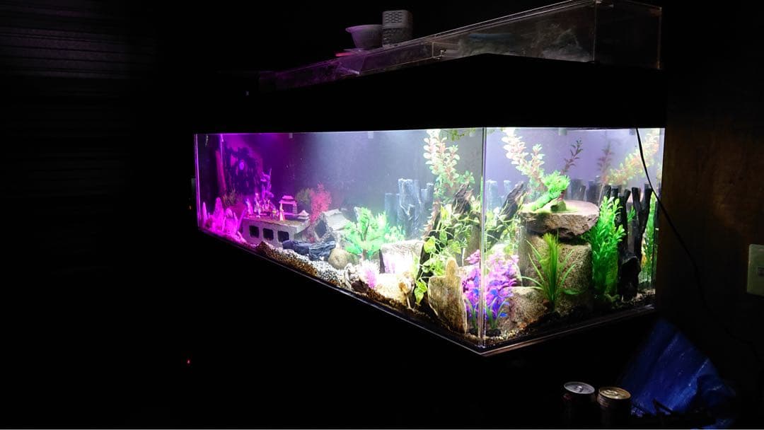 2mガラス水槽1式 上部ろ過