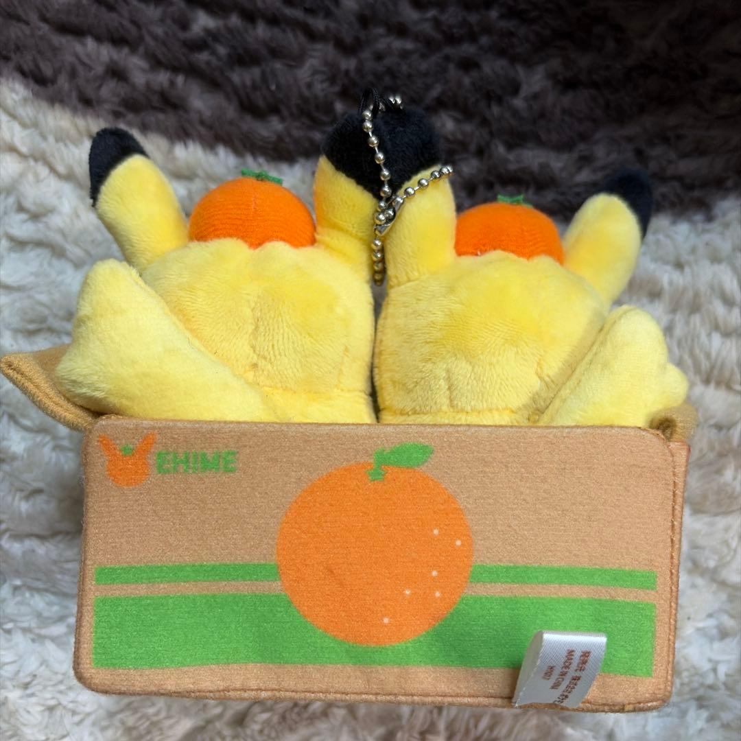 ピカチュウ ぬいぐるみ オレンジの箱入り