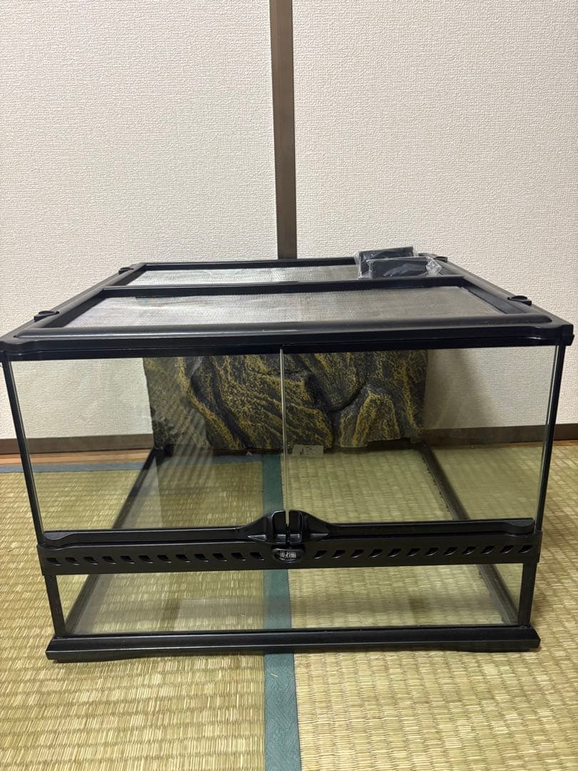 【直接取引限定】【早い者勝ち】グラステラリウム4530！