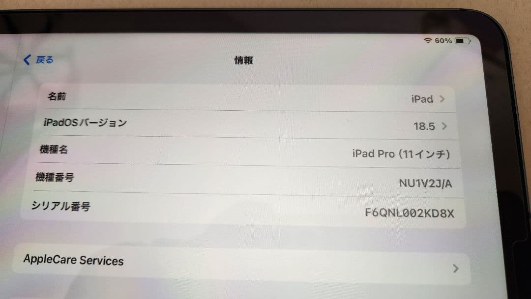 iPad Pro 11インチ 第1世代 Wi-Fi+Cellular 1TB
