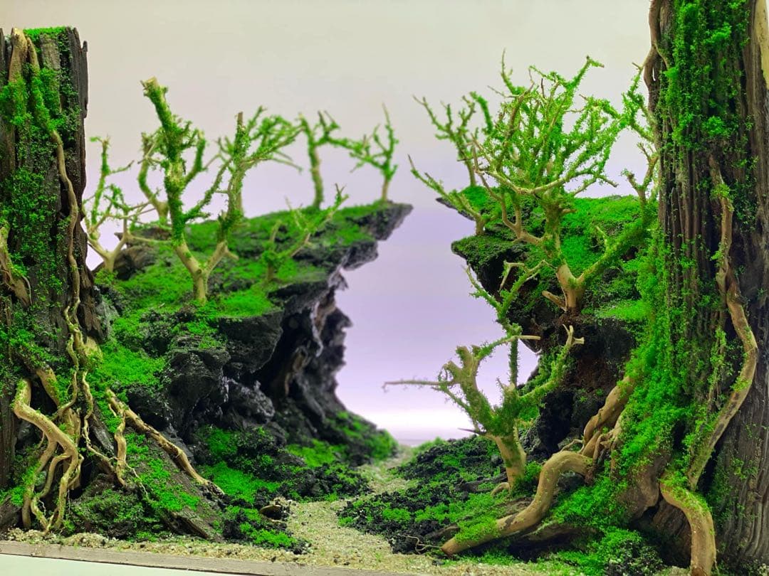 【在庫処分　半額OFF】自然美水景レイアウト – メンテナンス不要で常に緑豊か！