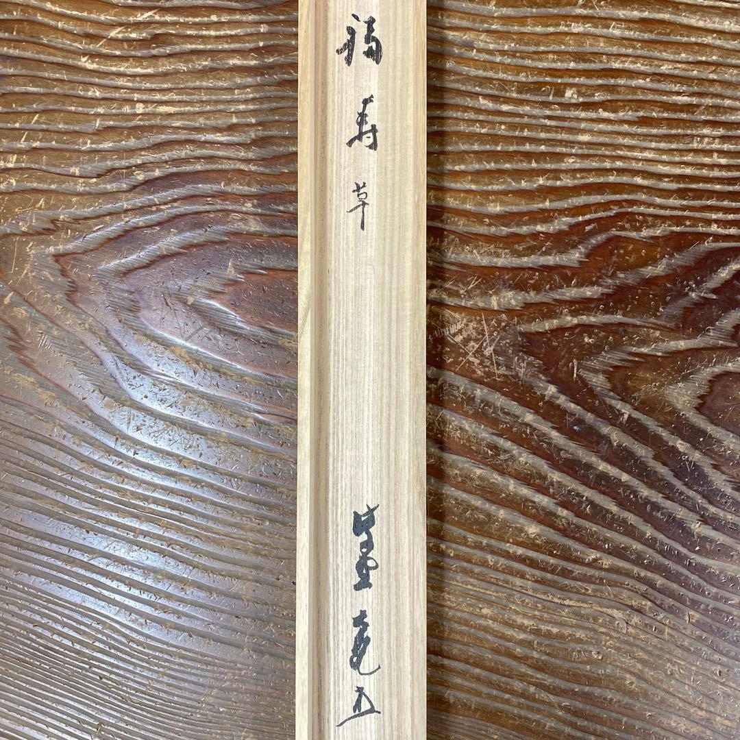 美品 掛け軸 立花大亀作「福寿草」大徳寺 共箱 禅語 茶掛け 縁起物