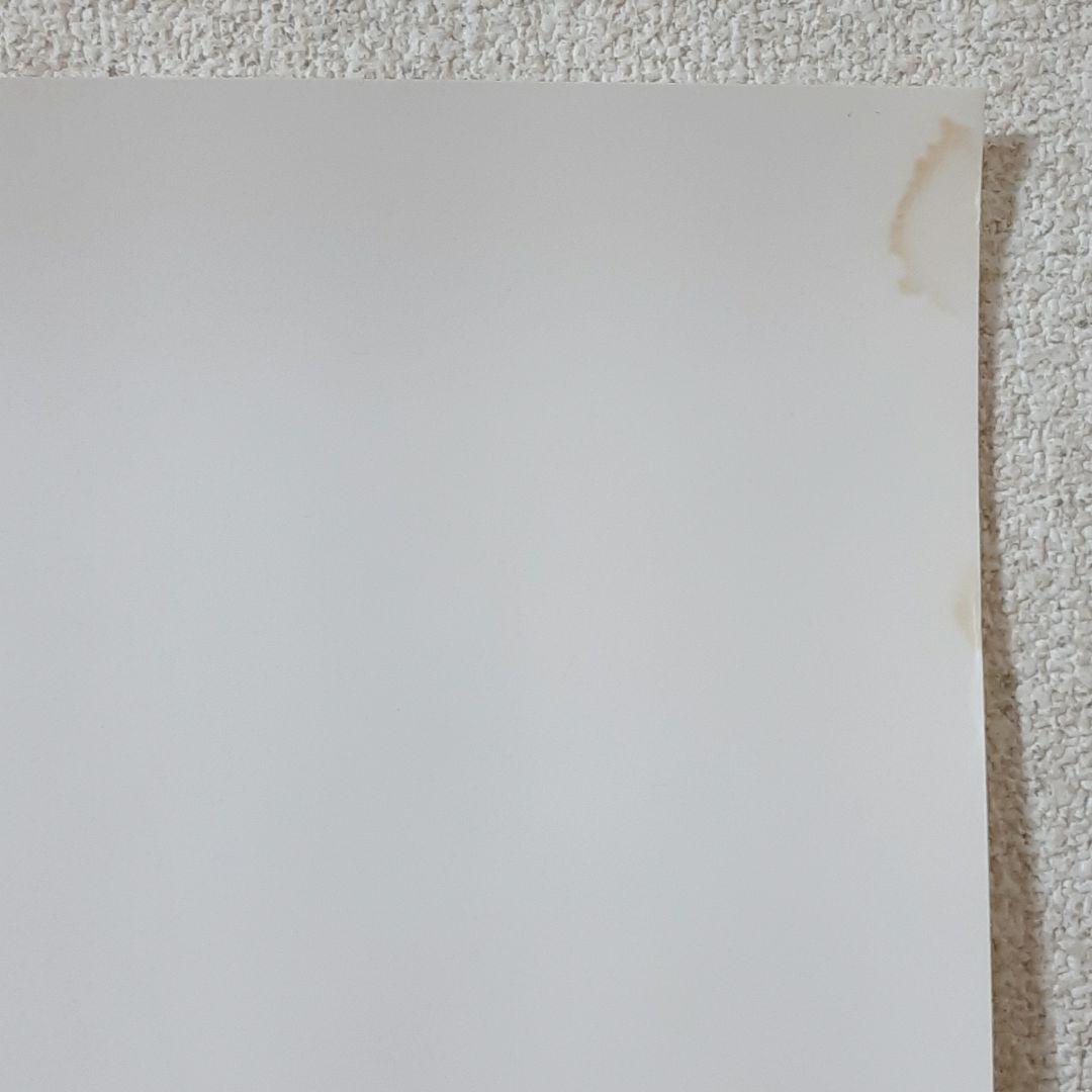 VOLCOM Todd Bratrud 非売品 100枚限定 サイン入りポスター