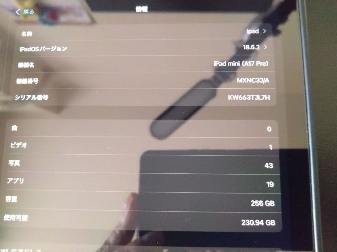 iPad mini（第7世代 A17 Pro）Wi-Fi 256GB ブルー