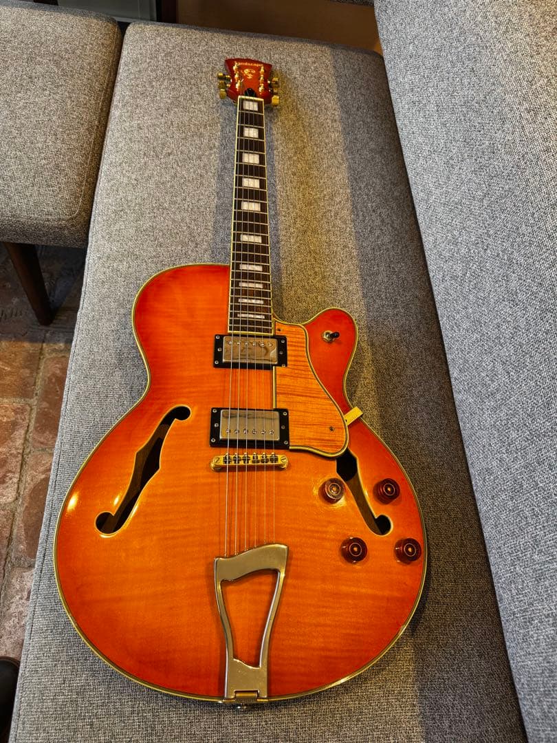 Landscape セミアコースティックギター