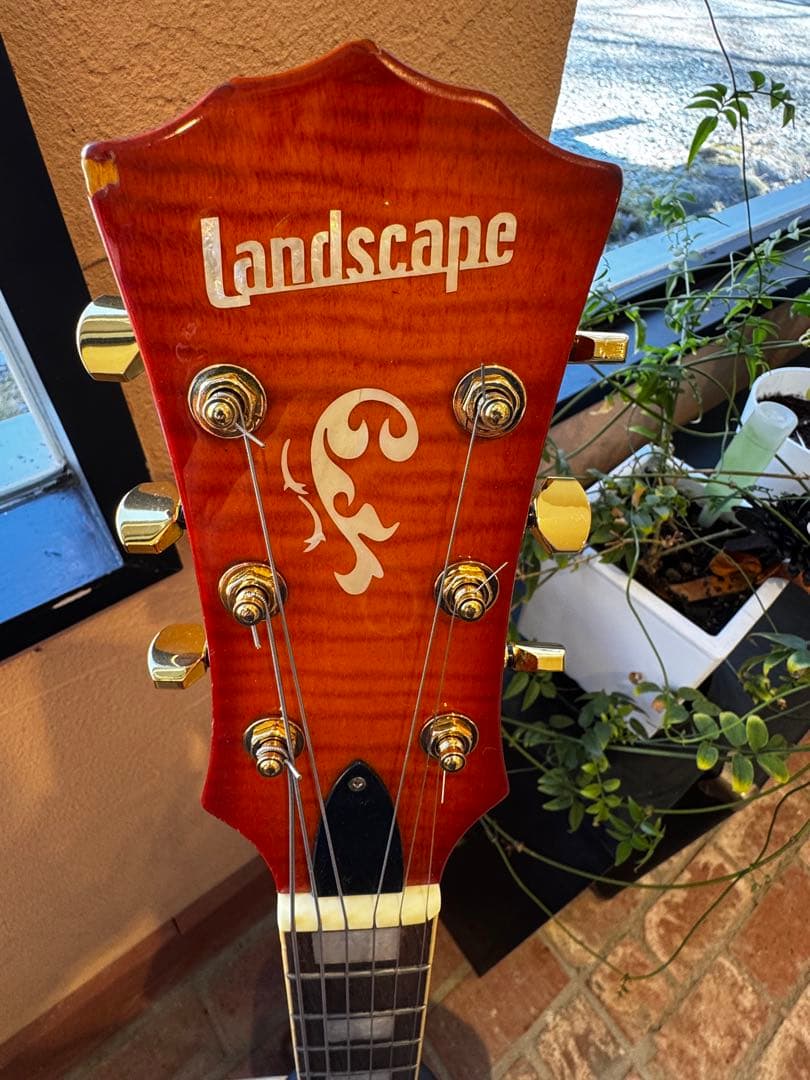 Landscape セミアコースティックギター