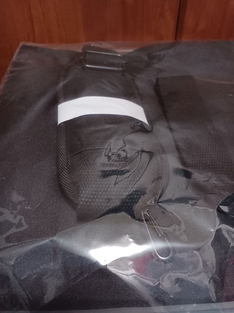 ポルノグラフィティ　ライダース収納バッグ