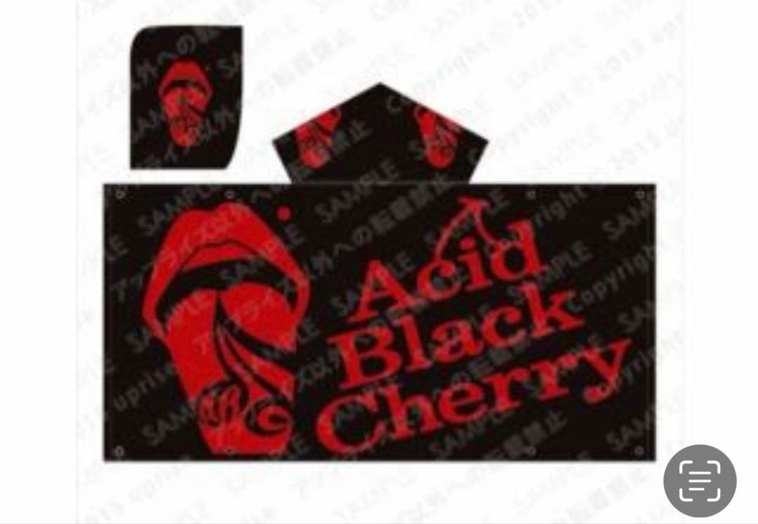Acid Black Cherry グッズまとめ売り①