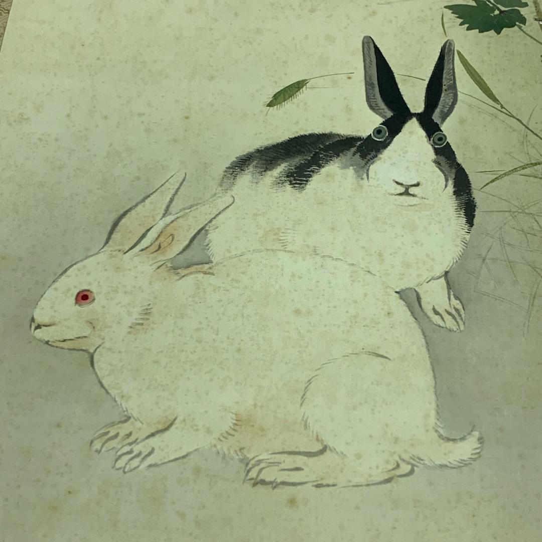 掛軸 草花兎之図 今井景樹 研精斎 花鳥図 鳥獣画 うさぎ 風景画 季節掛け