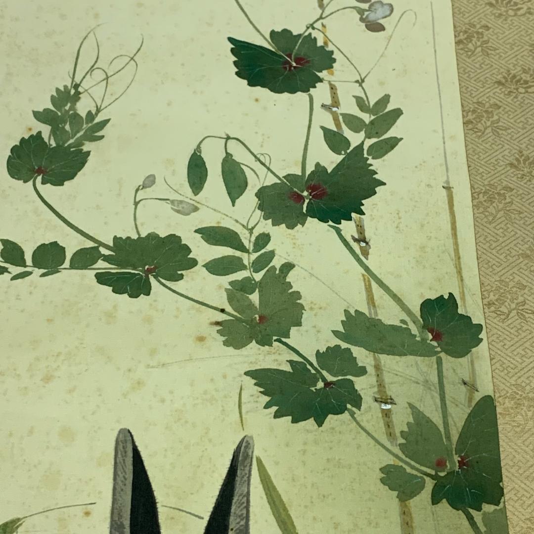 掛軸 草花兎之図 今井景樹 研精斎 花鳥図 鳥獣画 うさぎ 風景画 季節掛け
