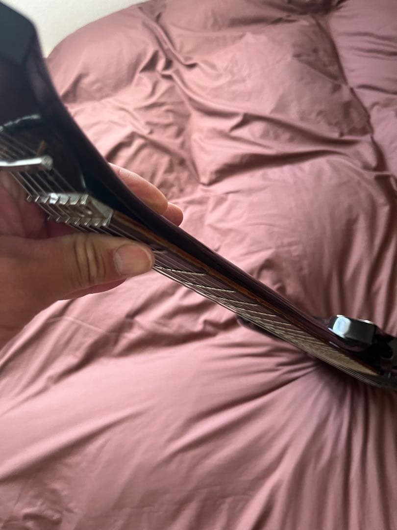 【調整済】Ariaproii アリアプロ　WILDCAT DX ギター　訳有