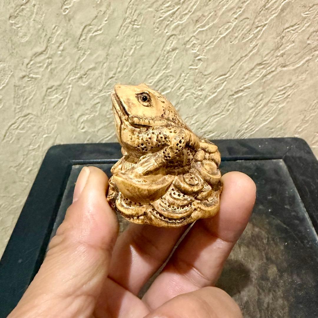 根付　ガマ　時代物　天然素材　アンティーク　骨董　古美術　レトロ　盆栽　真柏　松