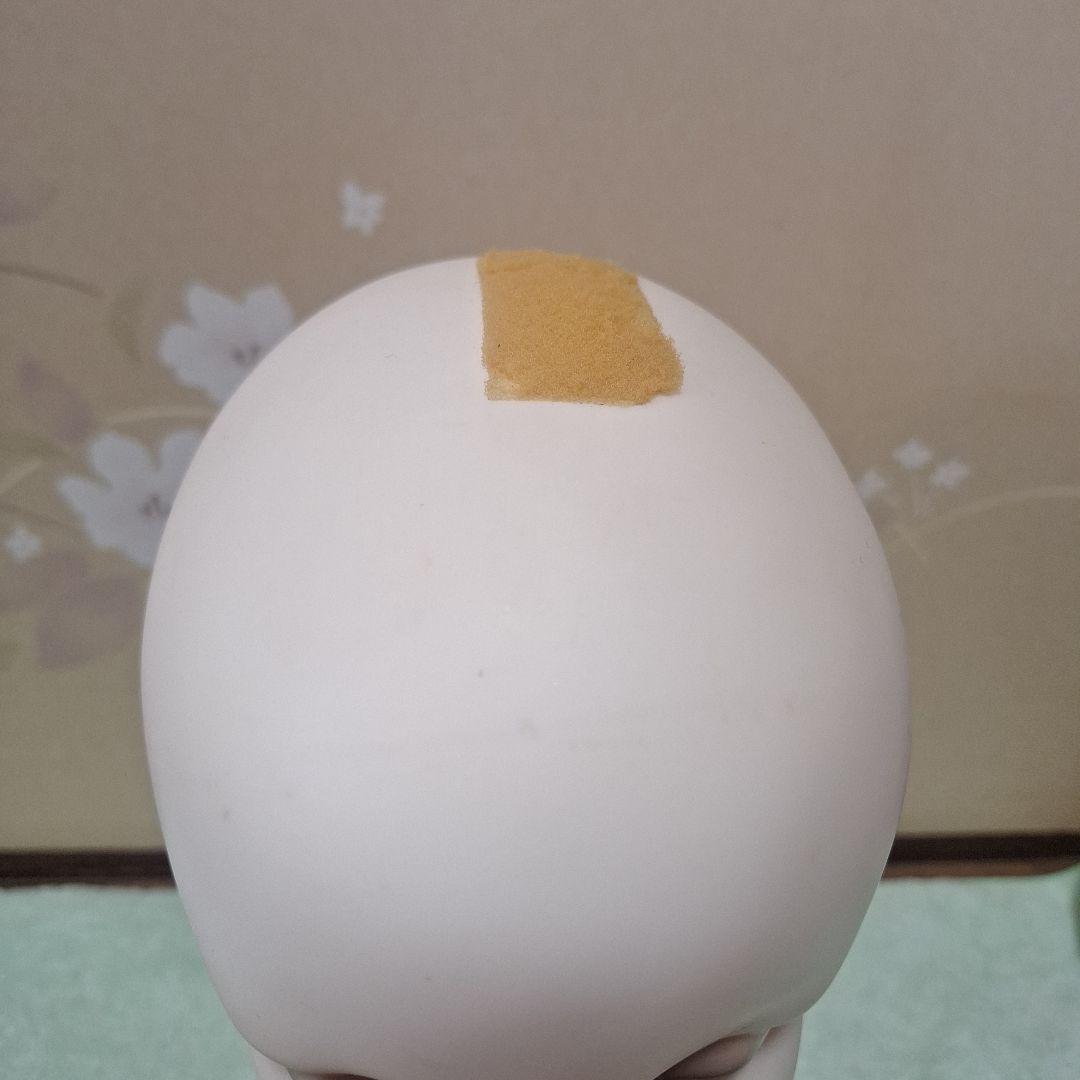 Nonna4057  ヘッドマネキン ハンドマネキン トルソー セット