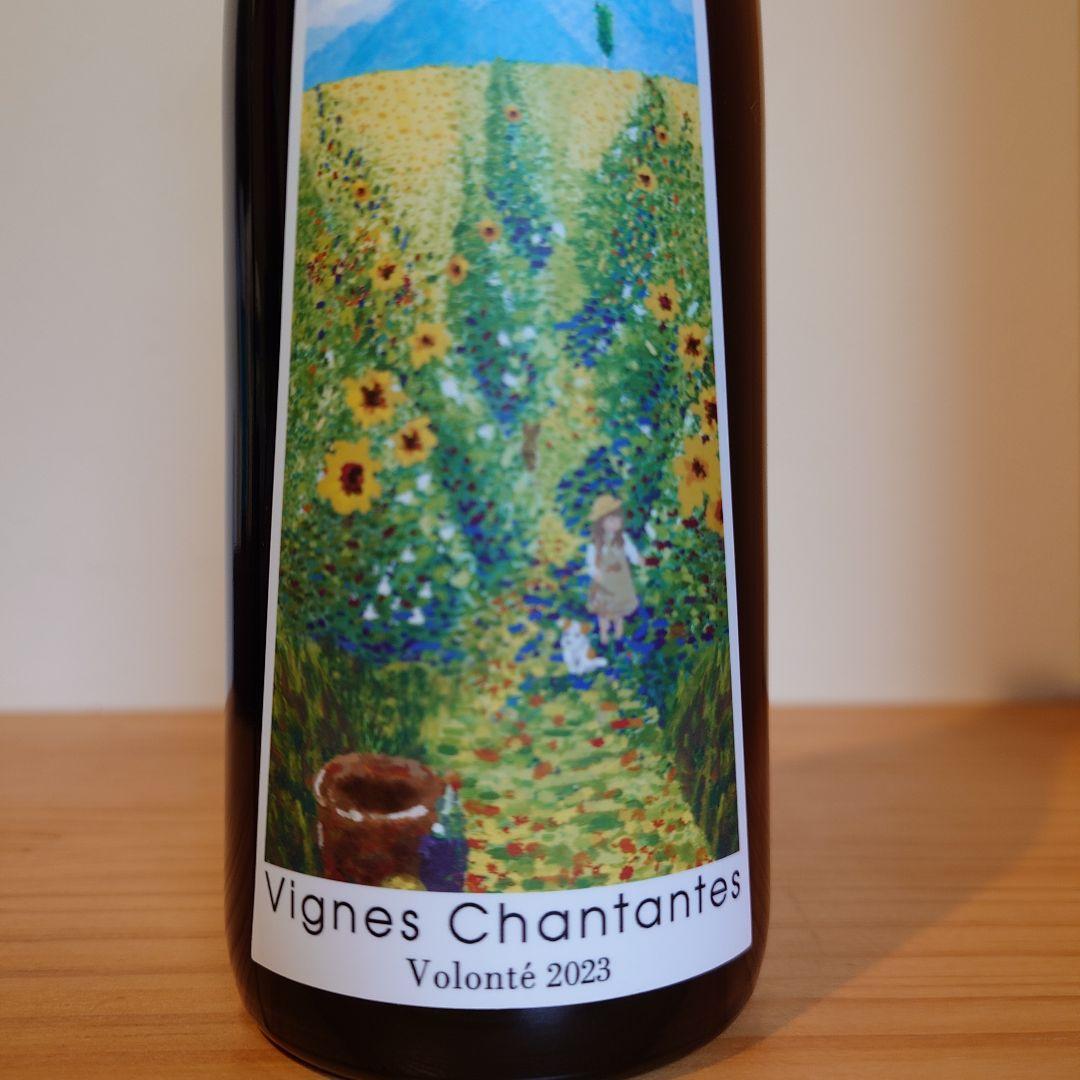 宮本ヴィンヤード　12本セット