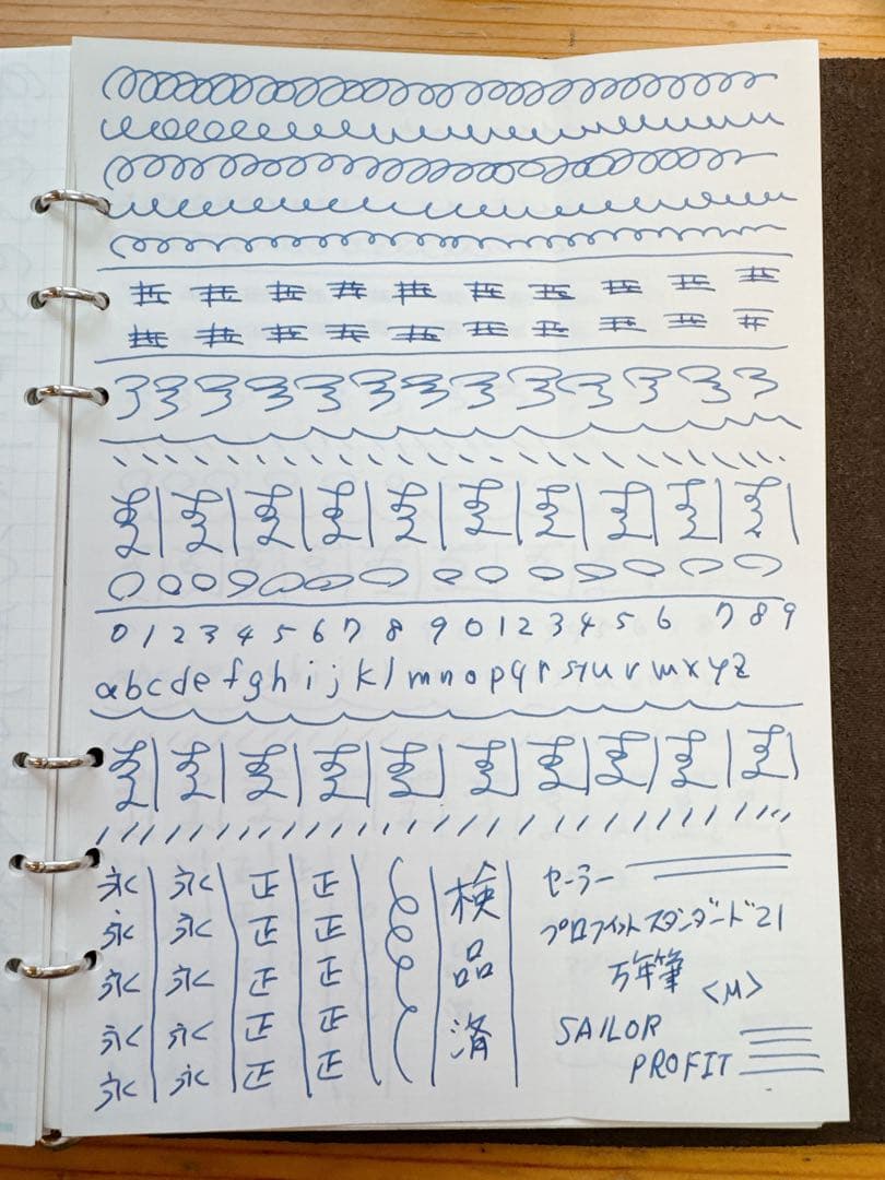 【調整済み・美品】セーラー万年筆 プロフィットスタンダード21 中字 M