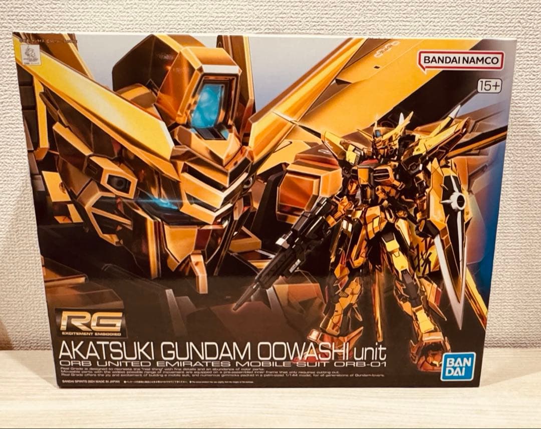 MG 1/100 ガンダムベース限定 デスティニーガンダム ハイネ機+α