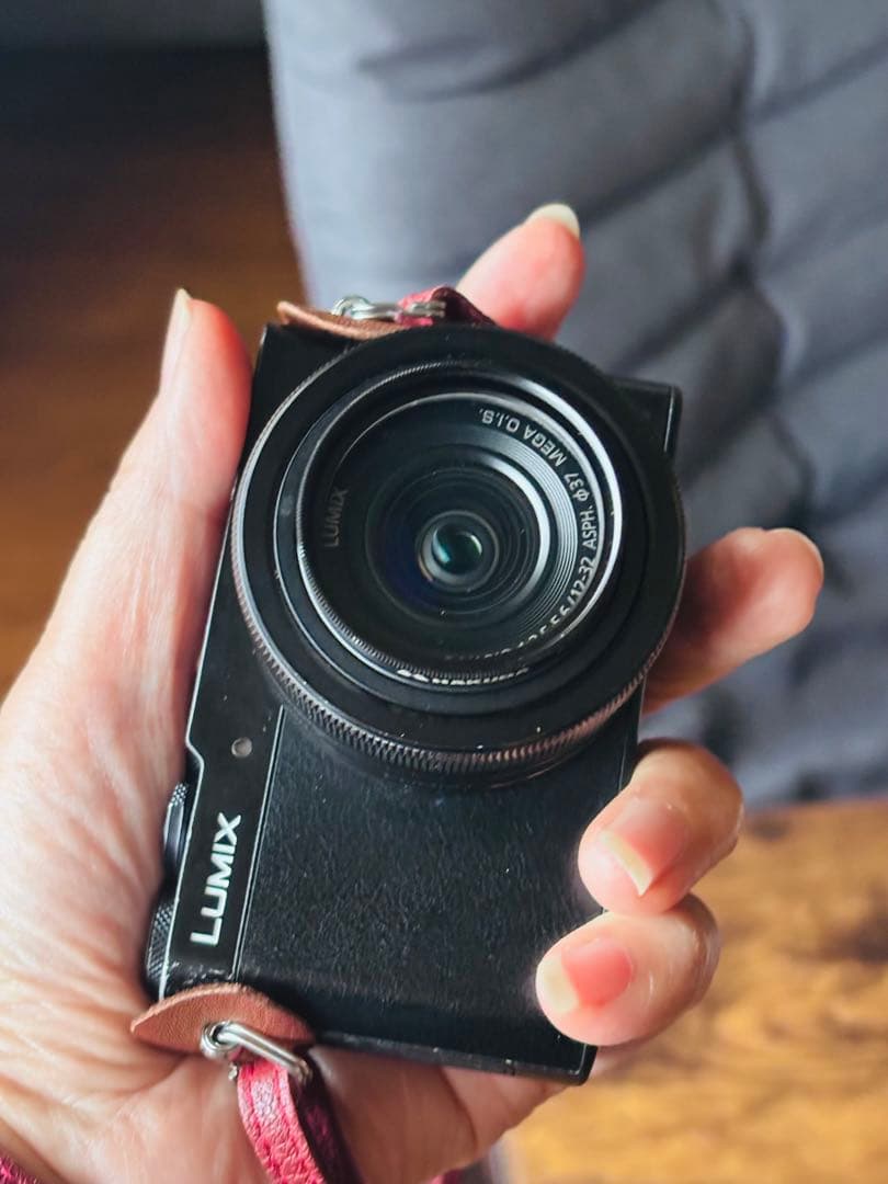 希少 パナソニックLUMIX ミラーレス一眼カメラ DMC-GM5-K レンズ付