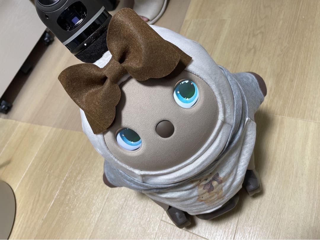 ラボット2.0 本体とネスト&衣装3点セット