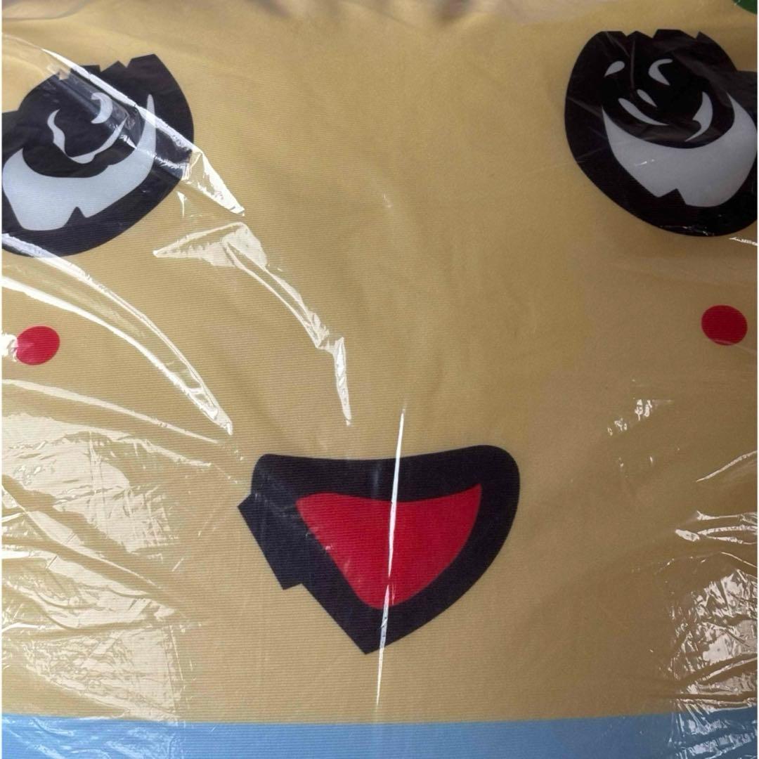 ふなっしー　ビーズクッション　ビッグ　新品　未使用　クッション　特典　BIG