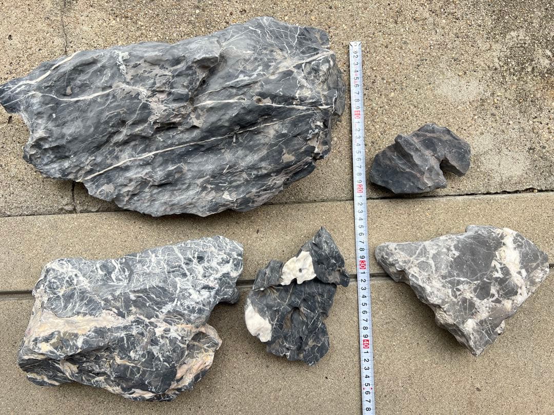 水槽用石 5個セット 竜王石