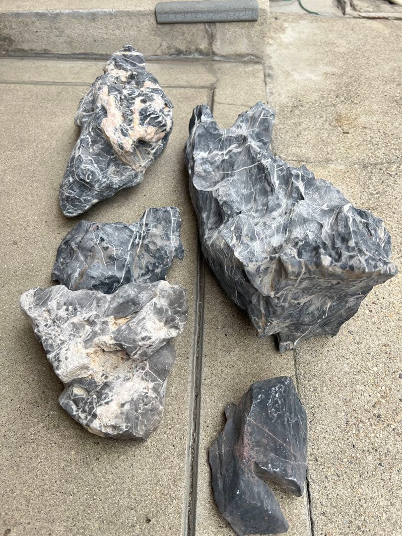 水槽用石 5個セット 竜王石