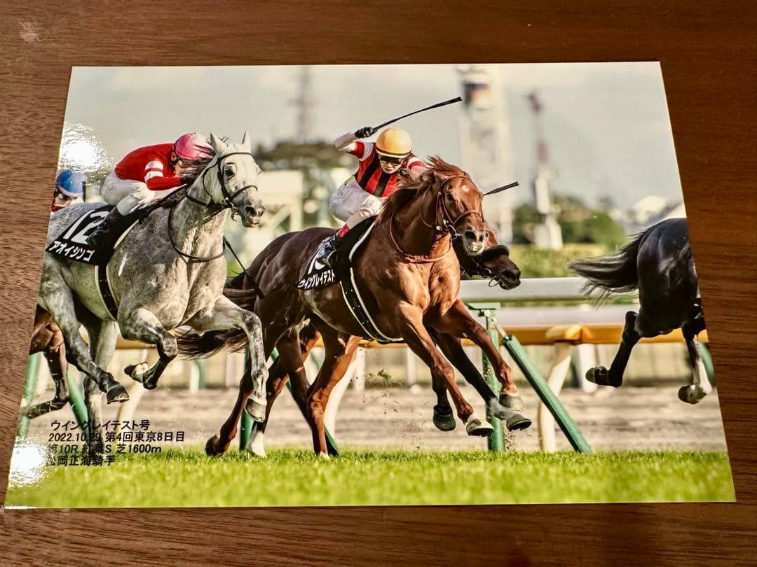 ウイングレイテスト　実使用ゼッケン・ホースレーシングカード・優勝写真（全4勝分）