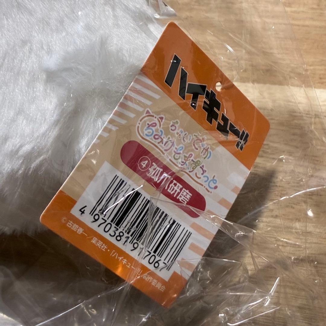 限定 ハイキュー ちょいでか ちみけもますこっと ジャンフェス 孤爪 研磨