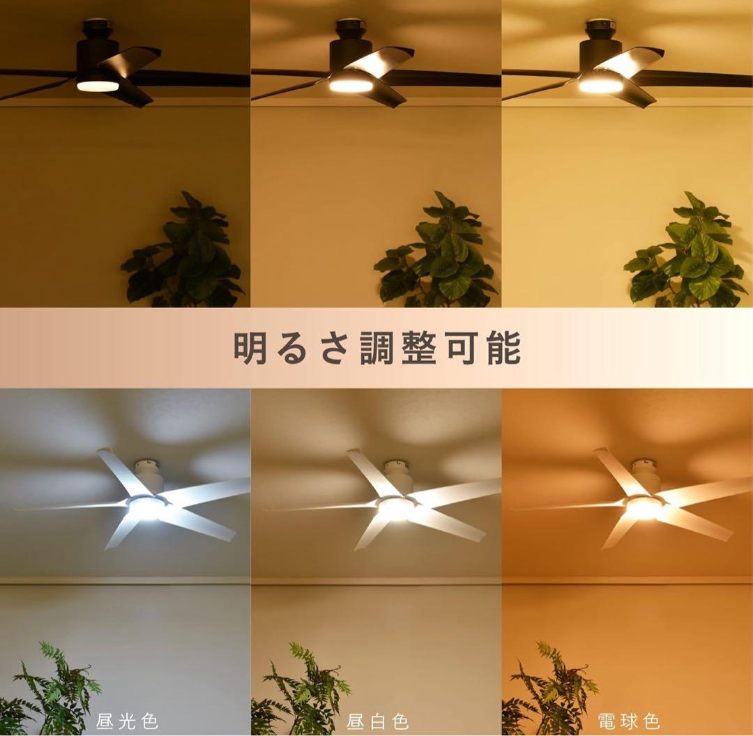 シーリングファンライト Finia（フィニア）