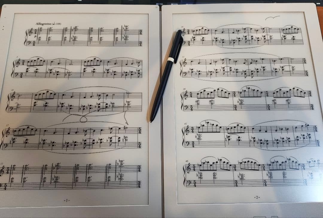 【ほぼ新品】GVIDO dms-w1セット(牛革カバー・フットペダル)電子譜面