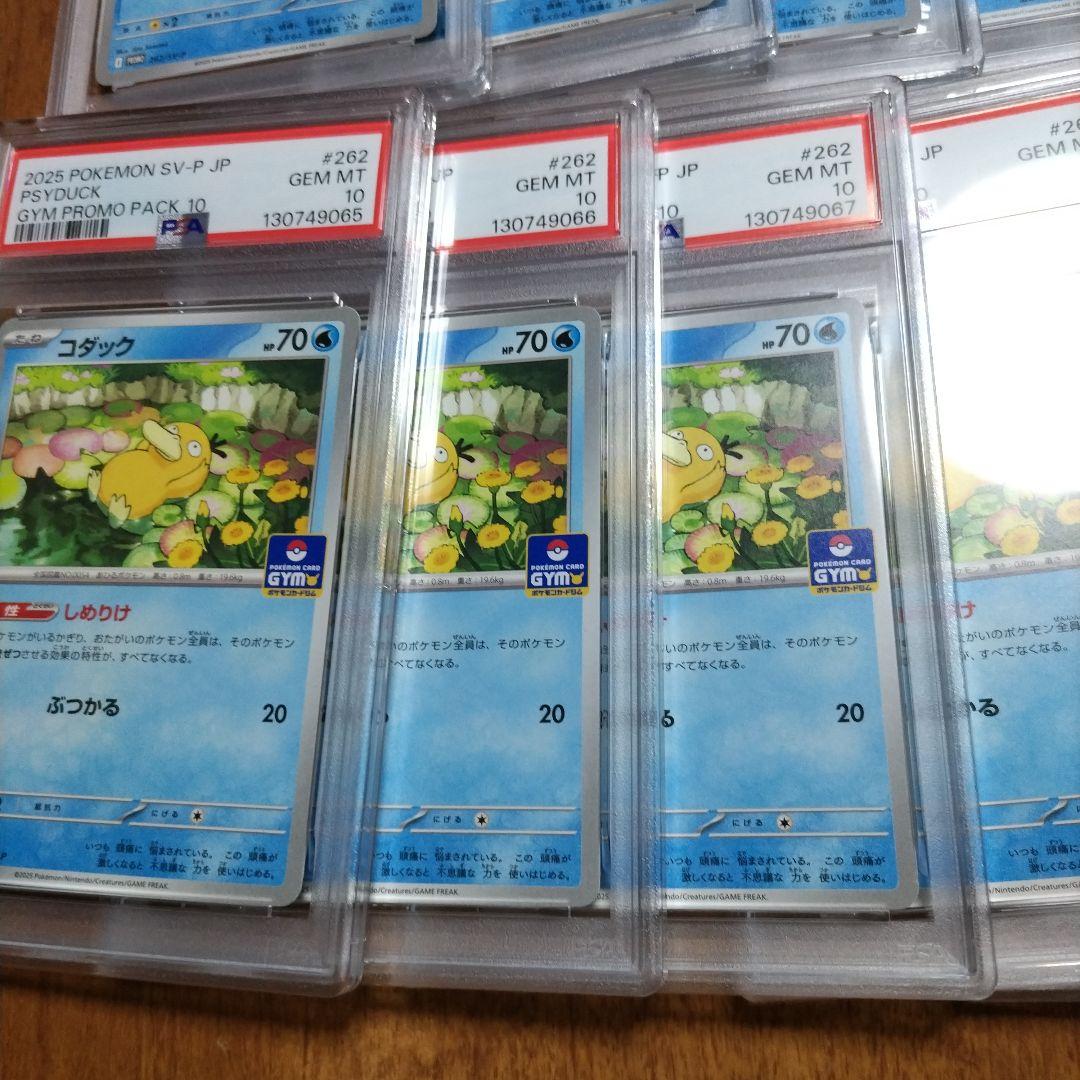 【PSA10】コダック しめりけ 262/SV-P ジムプロモ 20枚