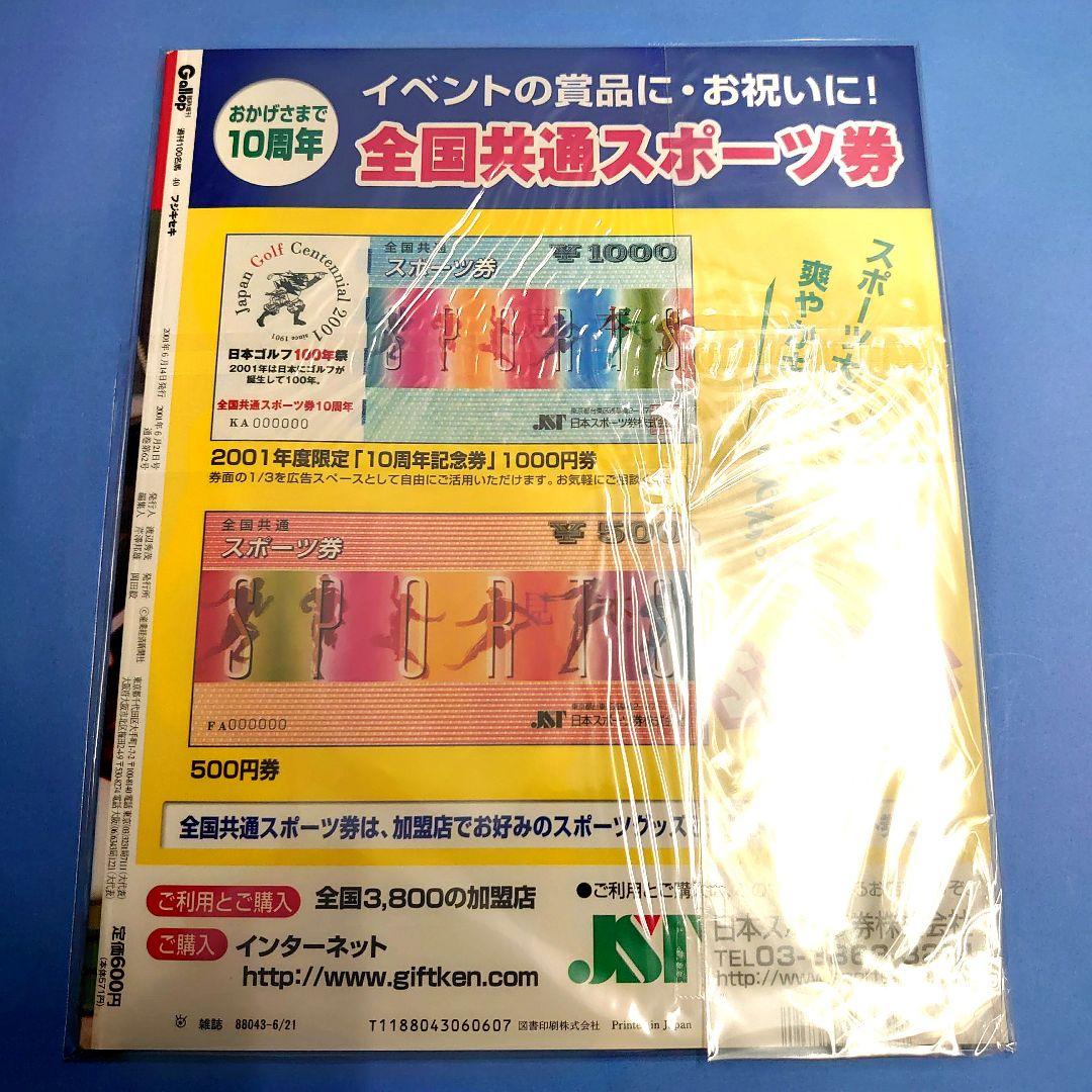 【稀少】フジキセキ ウマ娘 ぬいぐるみ  競馬 馬 アイドルホース AVANTI