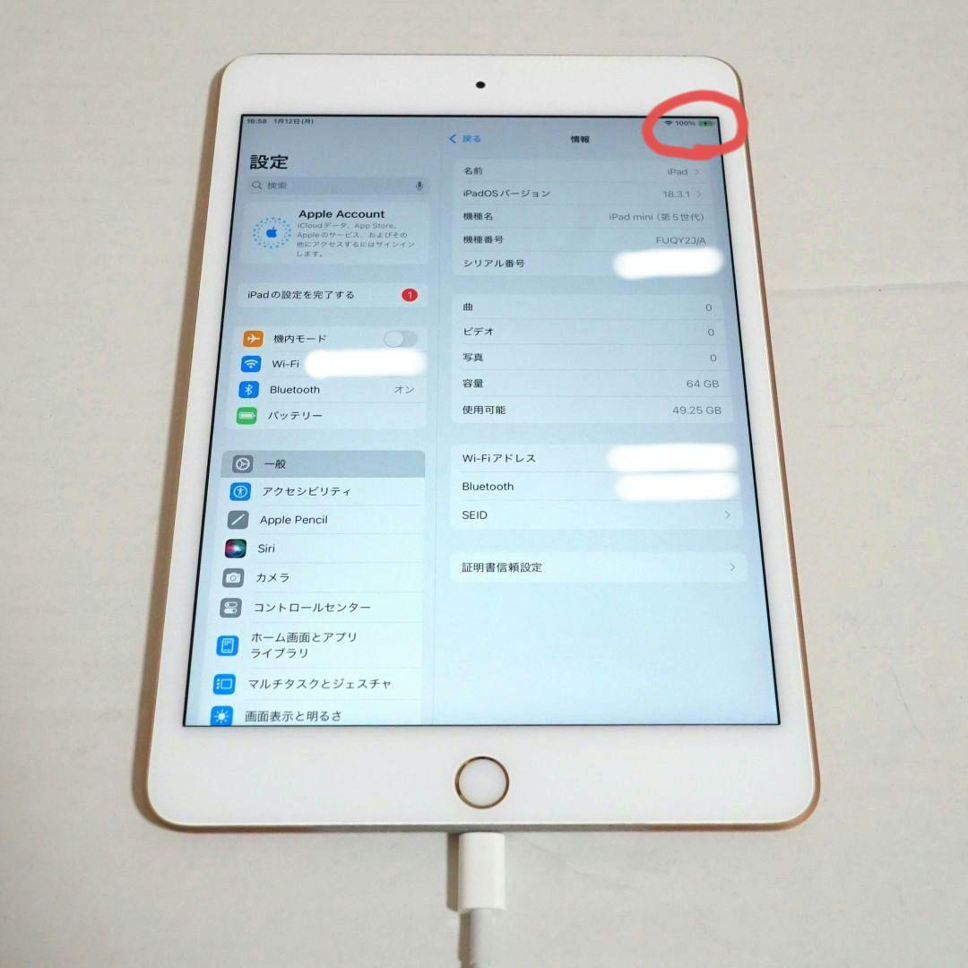 【訳あり】Apple iPad mini 5 Gold 64GB Wi-Fi