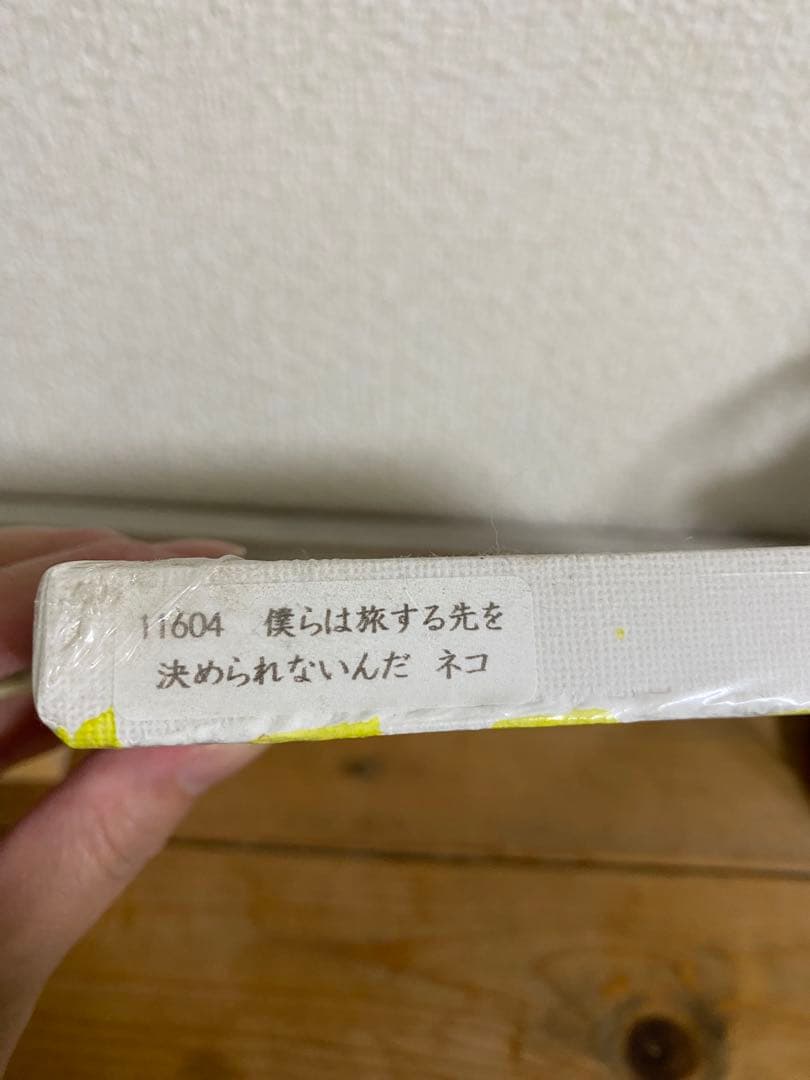 北村直登 原画 F1号 ネコ 猫 NAOTO