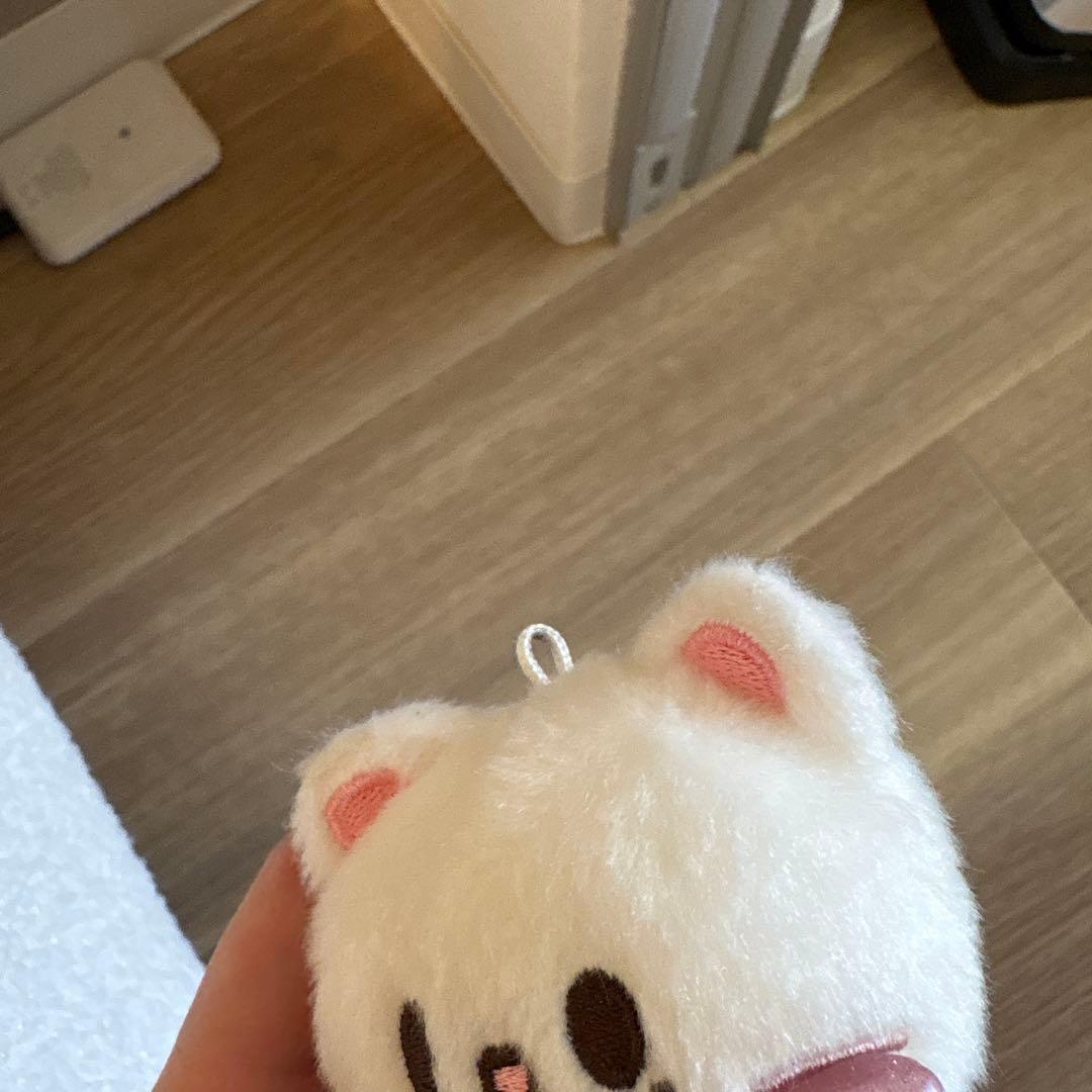 Hyunjin stray kids グッズセット　スキズ　ジニレットskzoo