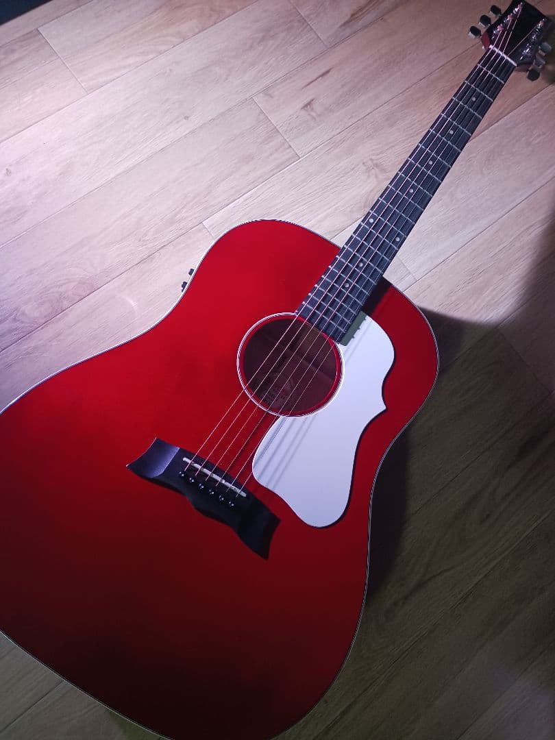 Morris モーリス G-021E WR エレアコ