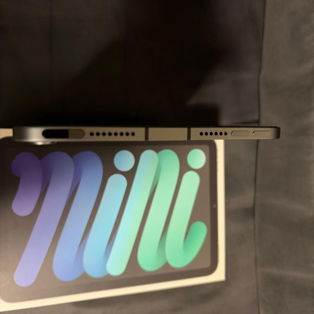 iPad mini 6 256G セルラー