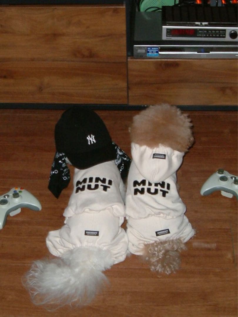 mininut logo patch hoodie パーカー