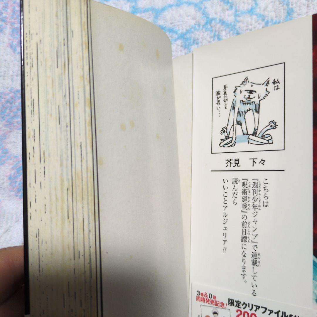 呪術廻戦 全巻セット (0‐30巻)＋α