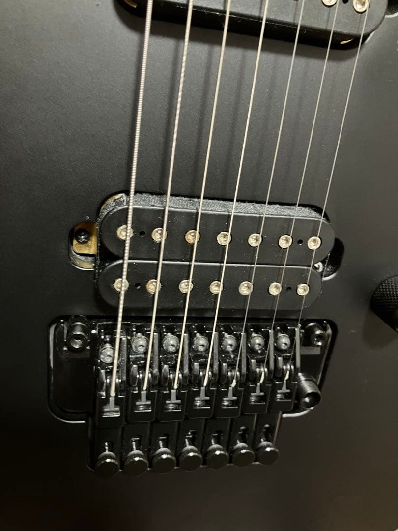 Ibanez 7弦ギター RG7320EX-BKF [SPOT MODEL］