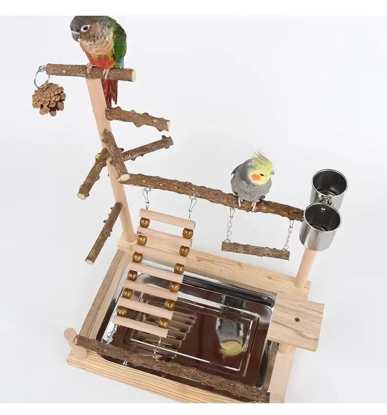 バード用アスレチックスタンド　パーチジム