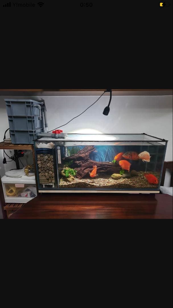 水中ポンプ25w 40x30x51ホースマット付き大型水槽万能濾過装置濾過