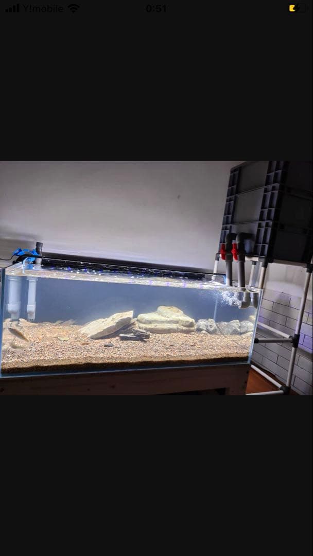 水中ポンプ25w 40x30x51ホースマット付き大型水槽万能濾過装置濾過