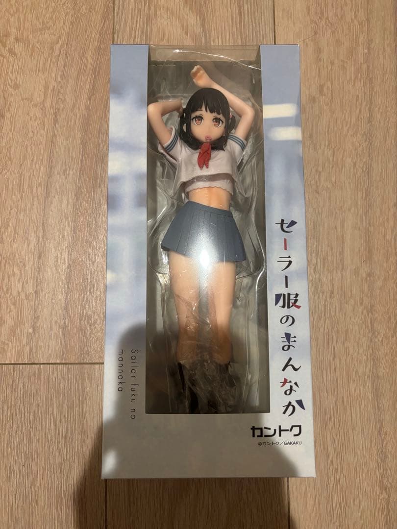 セーラー服と下着　着脱可能フィギュア