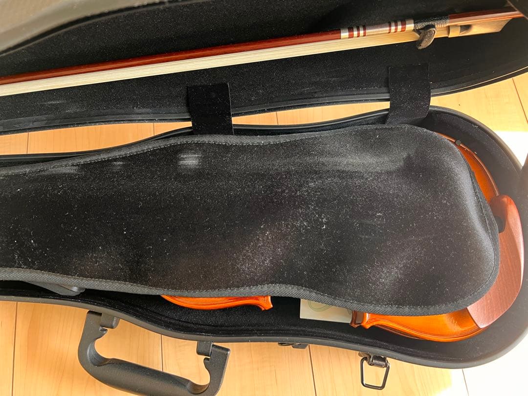 Pyroviolin 4/4バイオリン本体Gewaケース付き