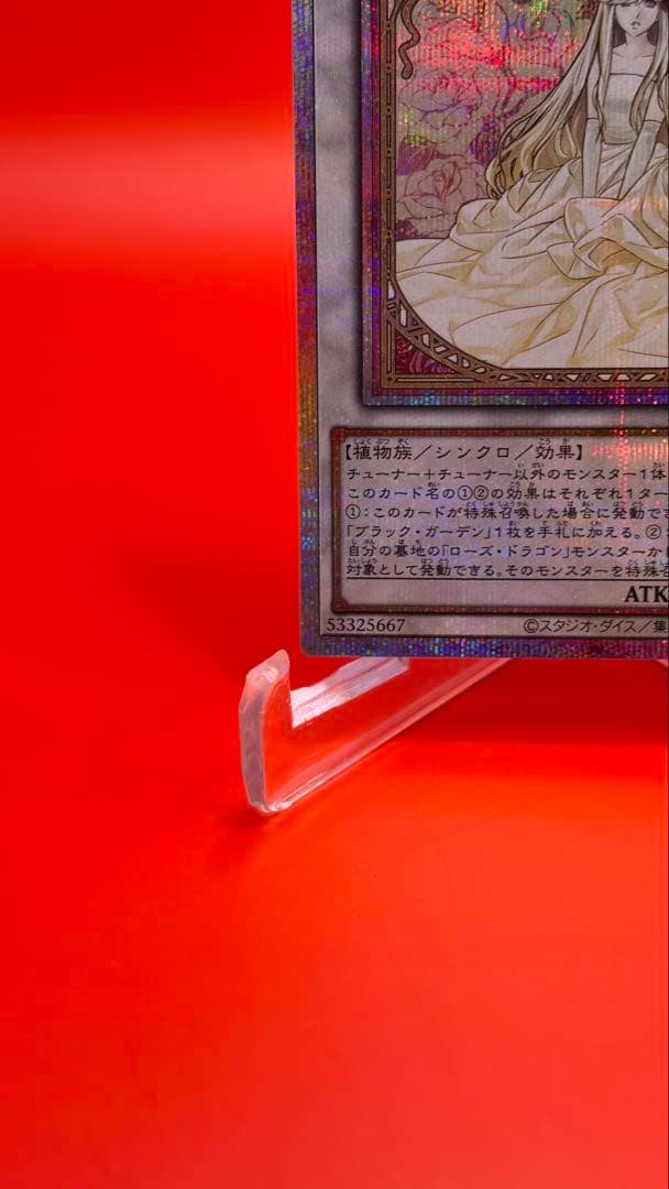 【まとめ買い割引】 ガーデンローズメイデン プリシク 絵違い イラスト違い