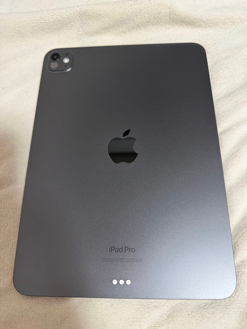 iPad本体 iPad Pro M4 256GB