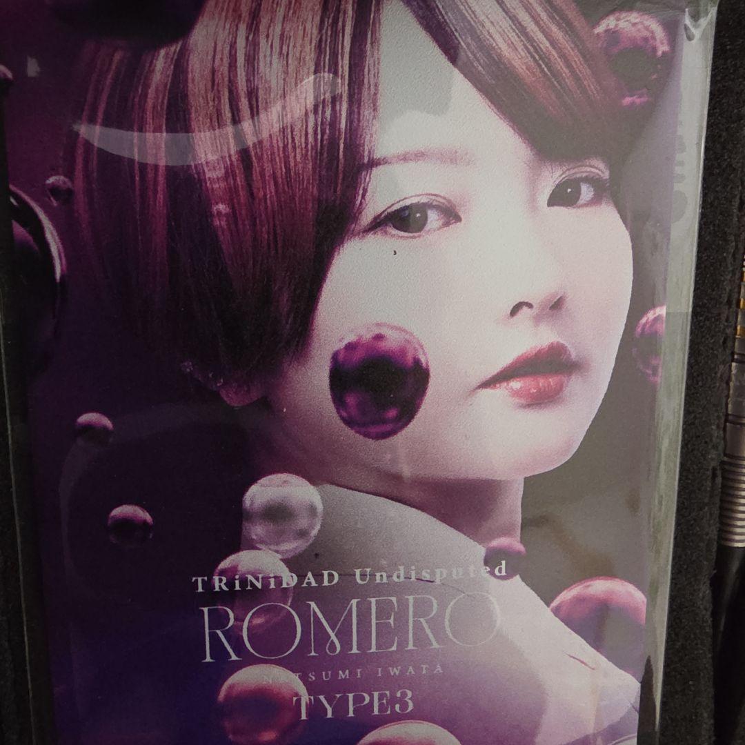 TRINIDAD ROMERO TYPE3 ダーツセット