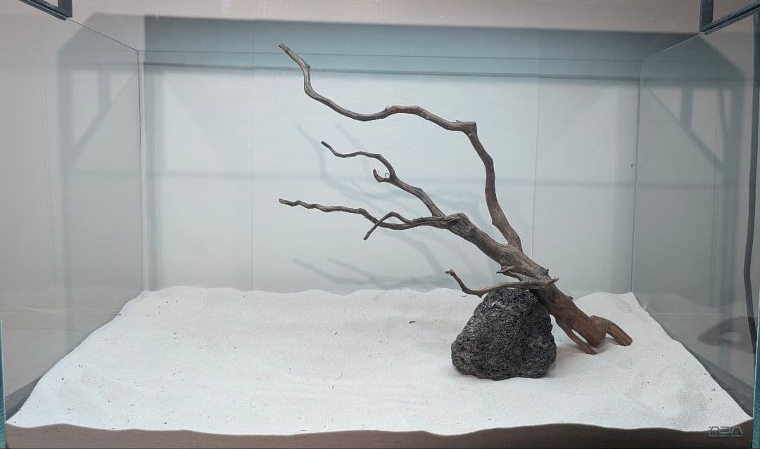 レイアウトセット【LBB009】 ブラックスマトラブランチウッド まとめ買い対応