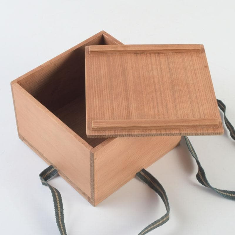 伊万里焼　出土品　鉄絵　草文　茶碗　共箱　V　9520