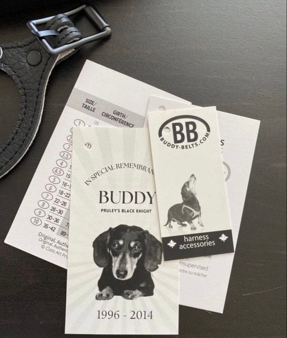 バディーベルト ハーネス 2.5号 ナイロンリード　バディベルト